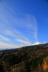 富士の羽