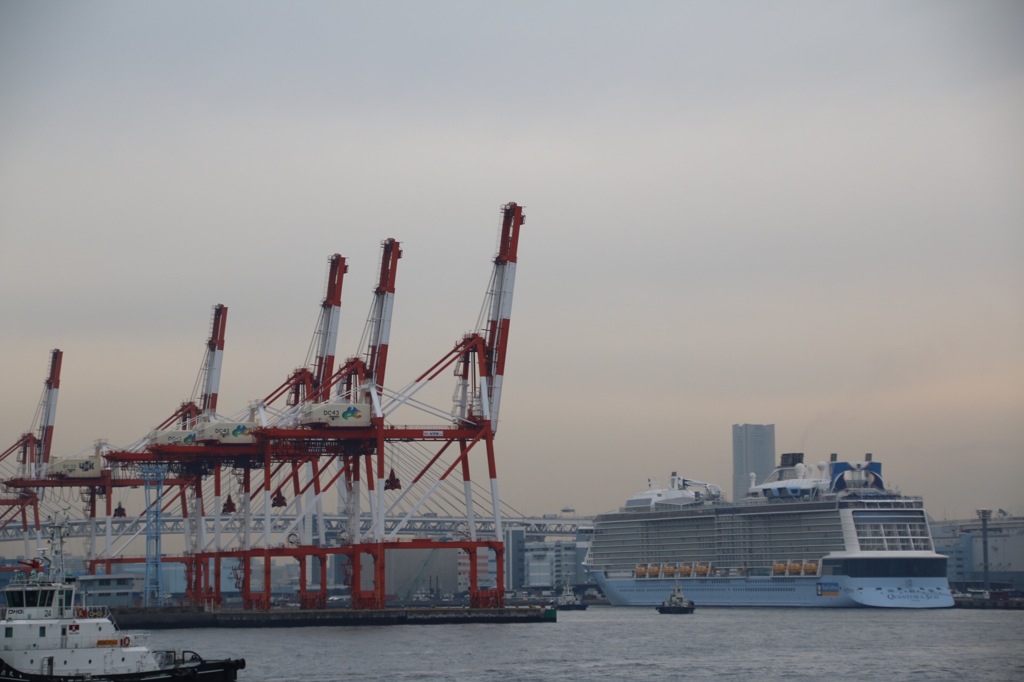 Quantum of the Seas  やっと全景