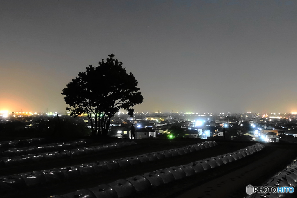 越後平野の夜景２