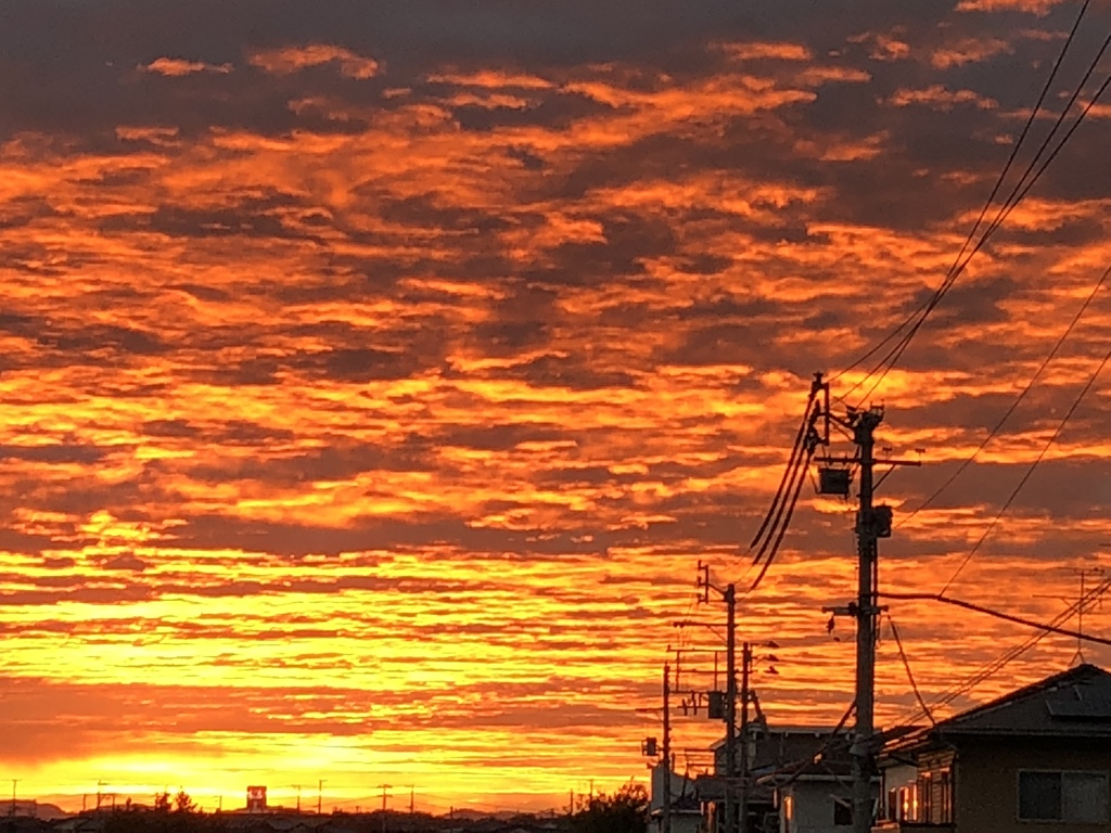 夏の夕景