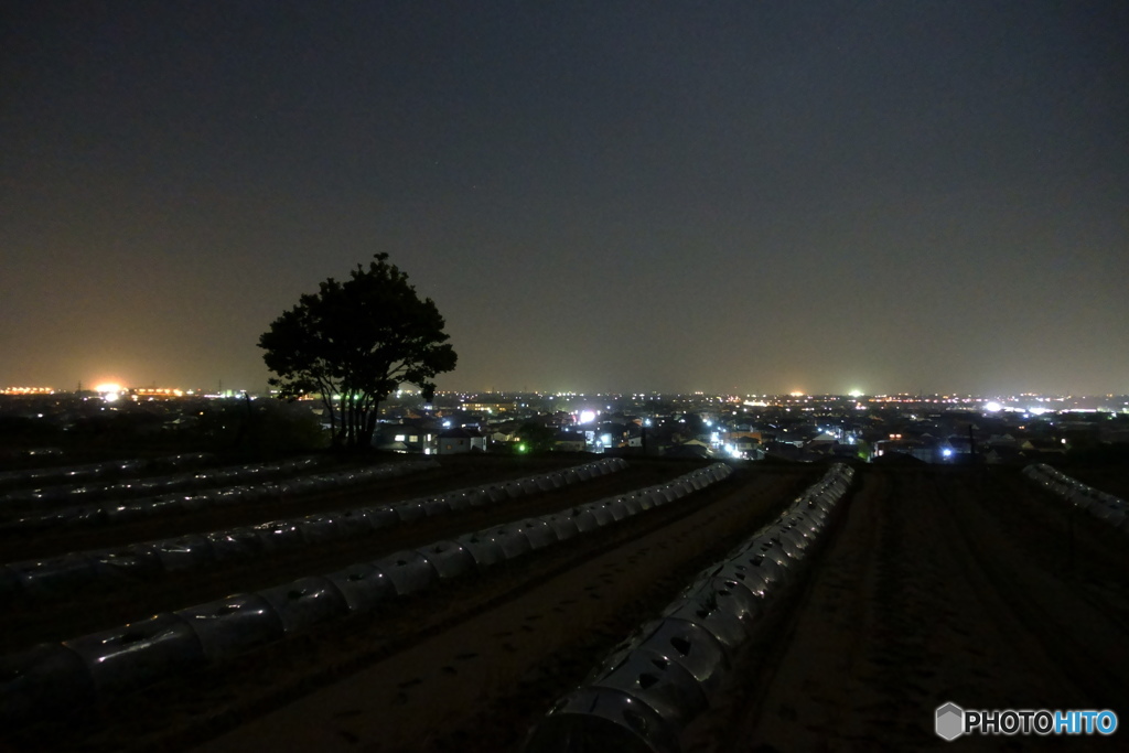 越後平野の夜景１