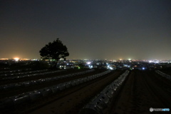 越後平野の夜景１