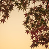 夕暮れの栞