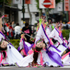 横浜よさこい祭り～良い世さ来い～2016_08