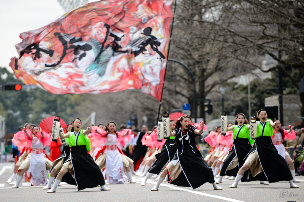 KANAGAWAよさこい with 龍馬2016_07