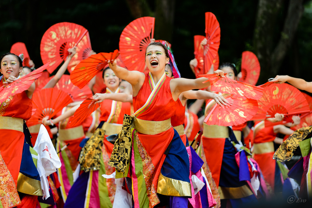 スーパーよさこい2014_08