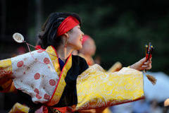 よさこい祭り in 光が丘2016_05