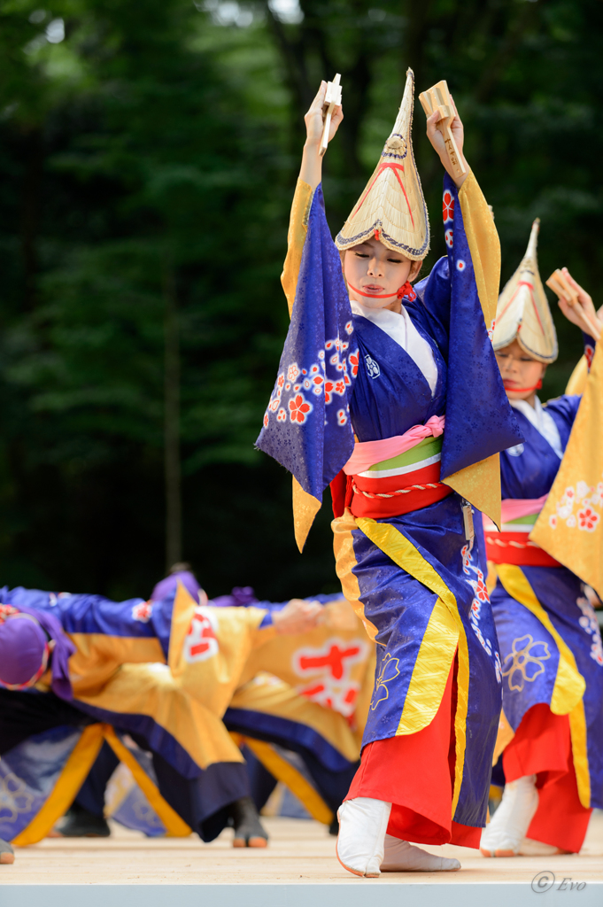 スーパーよさこい2014_12