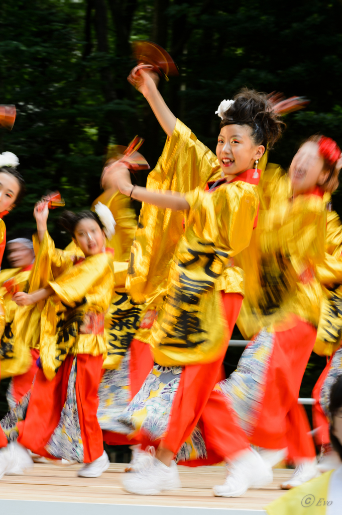 スーパーよさこい2014_07