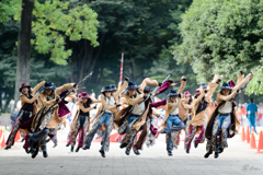 よさこい祭り in 光が丘2016_07