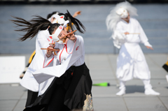 横浜よさこい祭り～良い世さ来い～2016_11