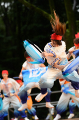 スーパーよさこい2015_13