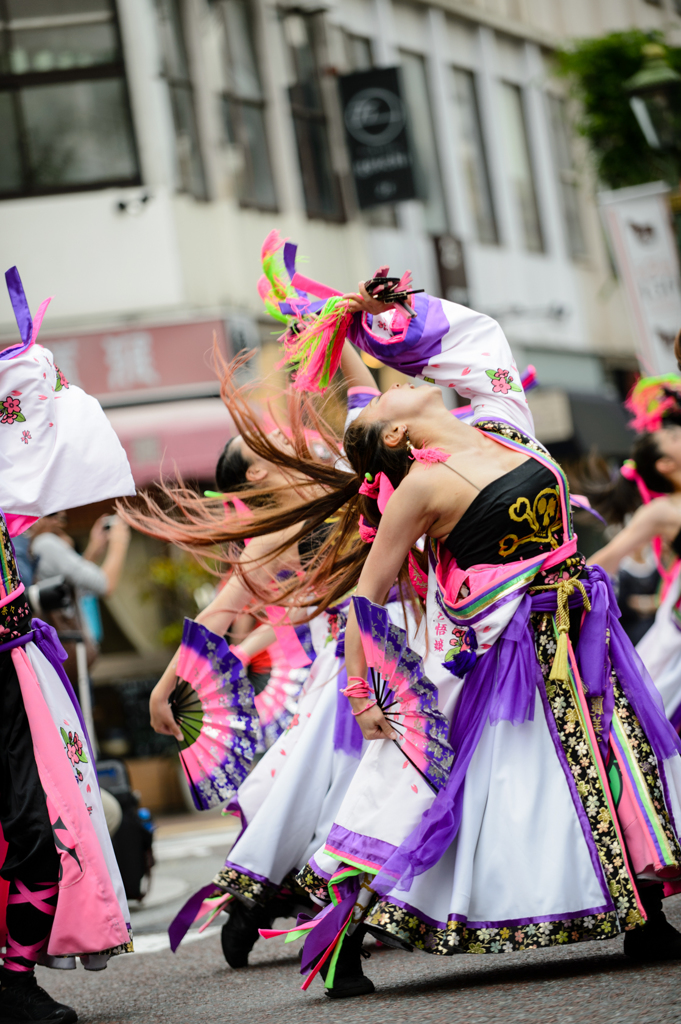横浜よさこい祭り～良い世さ来い～2016_06