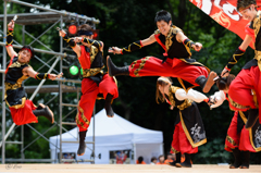 スーパーよさこい2014_13
