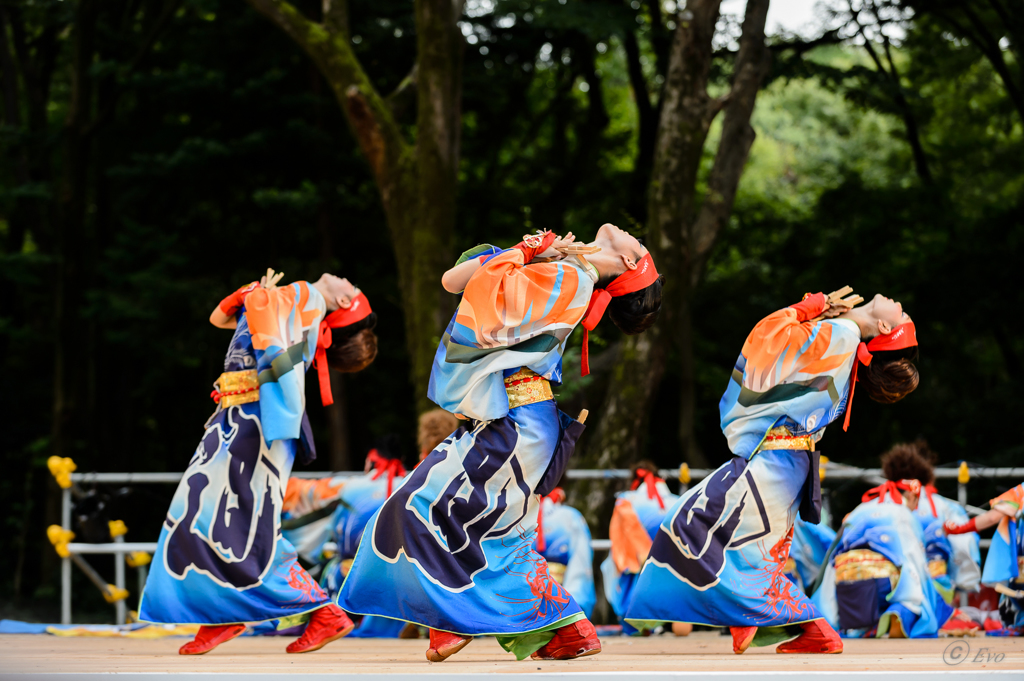 スーパーよさこい2014_02