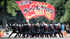 よさこい祭り in 光が丘2016_09