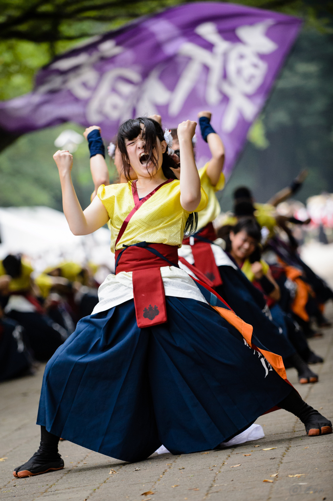 よさこい祭り in 光が丘2016_14