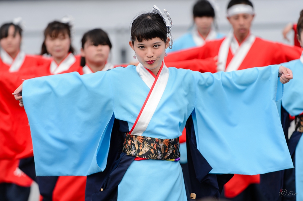 横浜よさこい祭り～良い世さ来い～2016_05