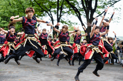 スーパーよさこい2015_14