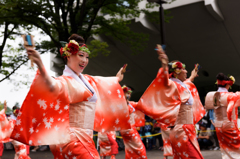 スーパーよさこい2015_15