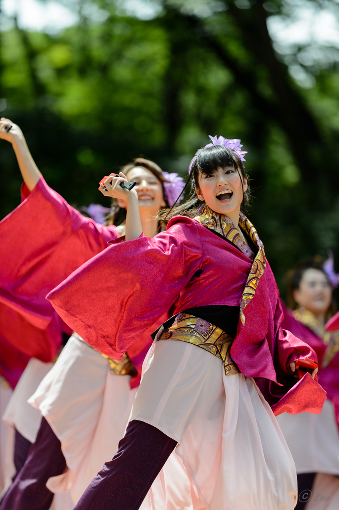 スーパーよさこい2014_06