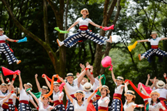 スーパーよさこい2014_18