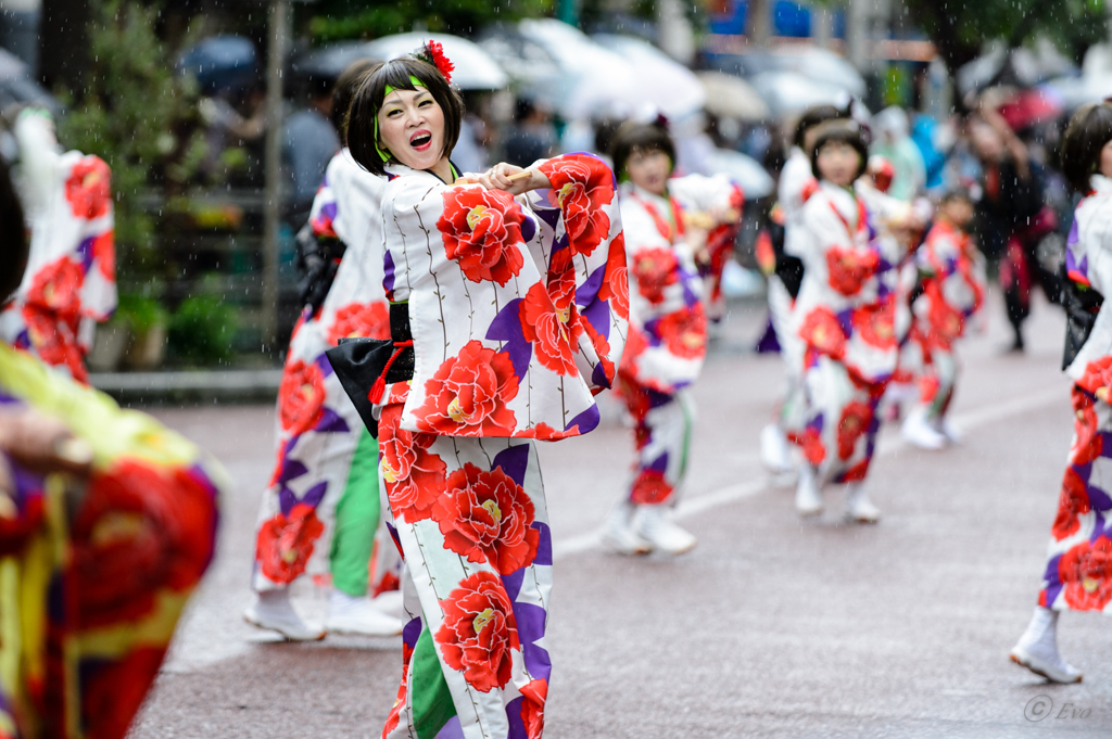 湘南よさこい祭り2016_01