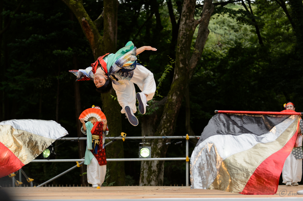 スーパーよさこい2014_04
