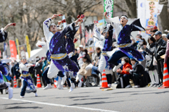 KANAGAWAよさこい with 龍馬2016_01