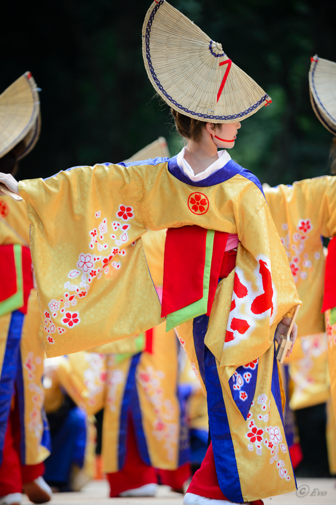 スーパーよさこい2014_11