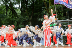 スーパーよさこい2015_03