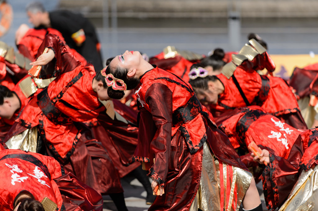 横浜よさこい祭り～良い世さ来い～2016_01