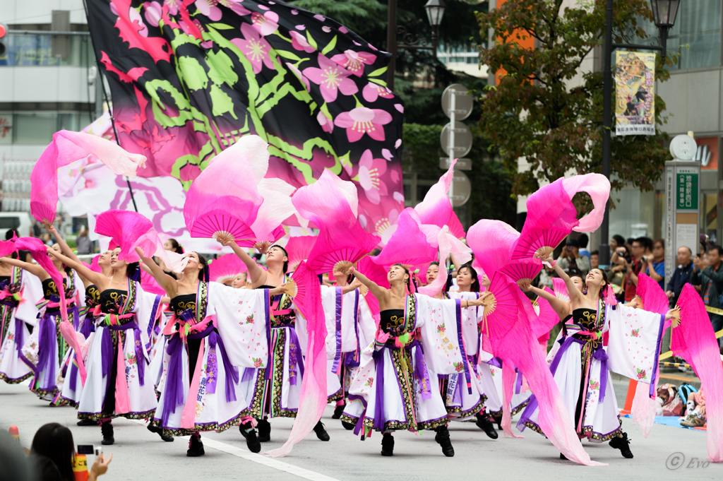東京よさこい2015_05