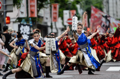 横浜よさこい祭り～良い世さ来い～2016_03