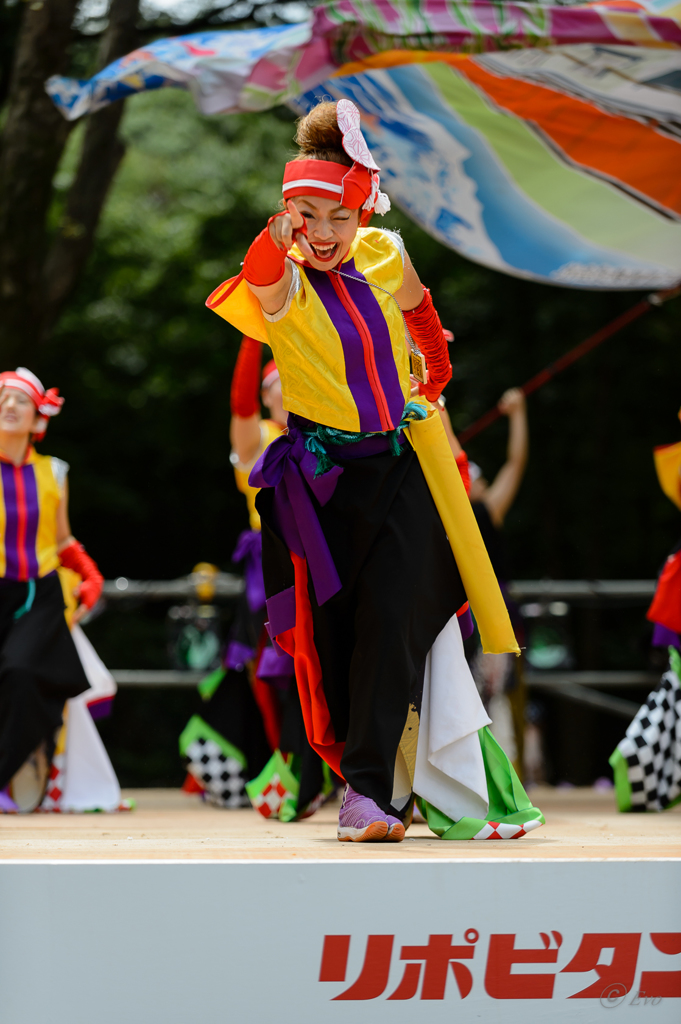 スーパーよさこい2014_03