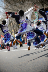 KANAGAWAよさこい with 龍馬2016_02