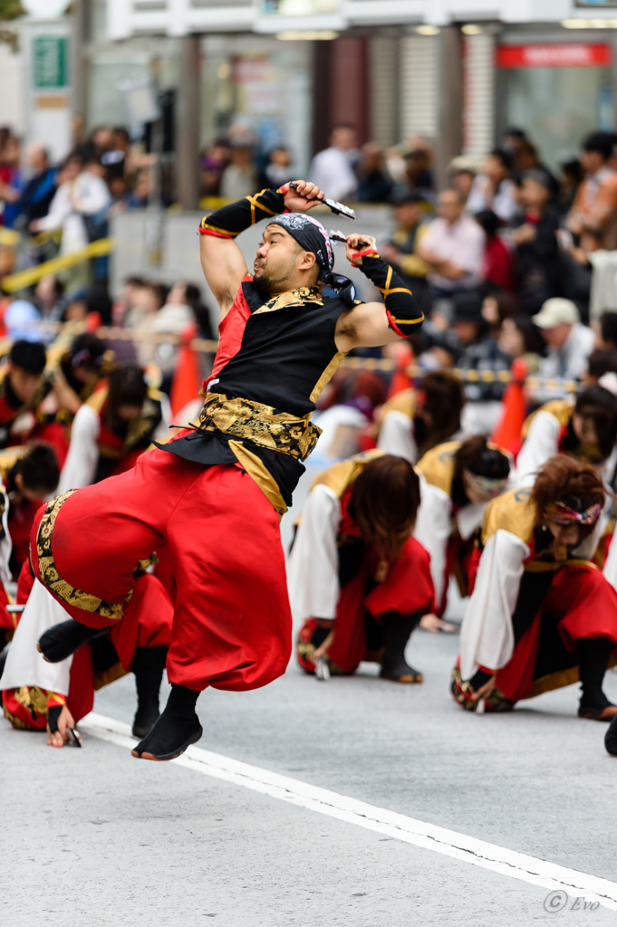 東京よさこい2015_01