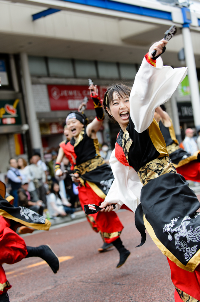 湘南よさこい祭り2016_04