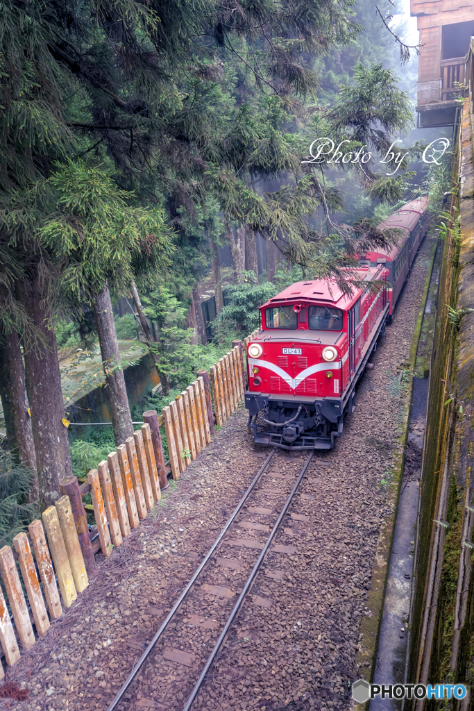 台湾　阿里山森林鉄道