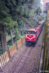 台湾　阿里山森林鉄道