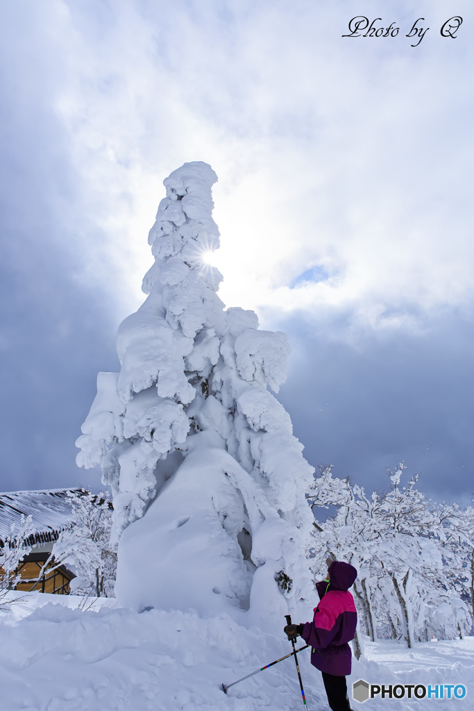 秋田県森吉山樹氷