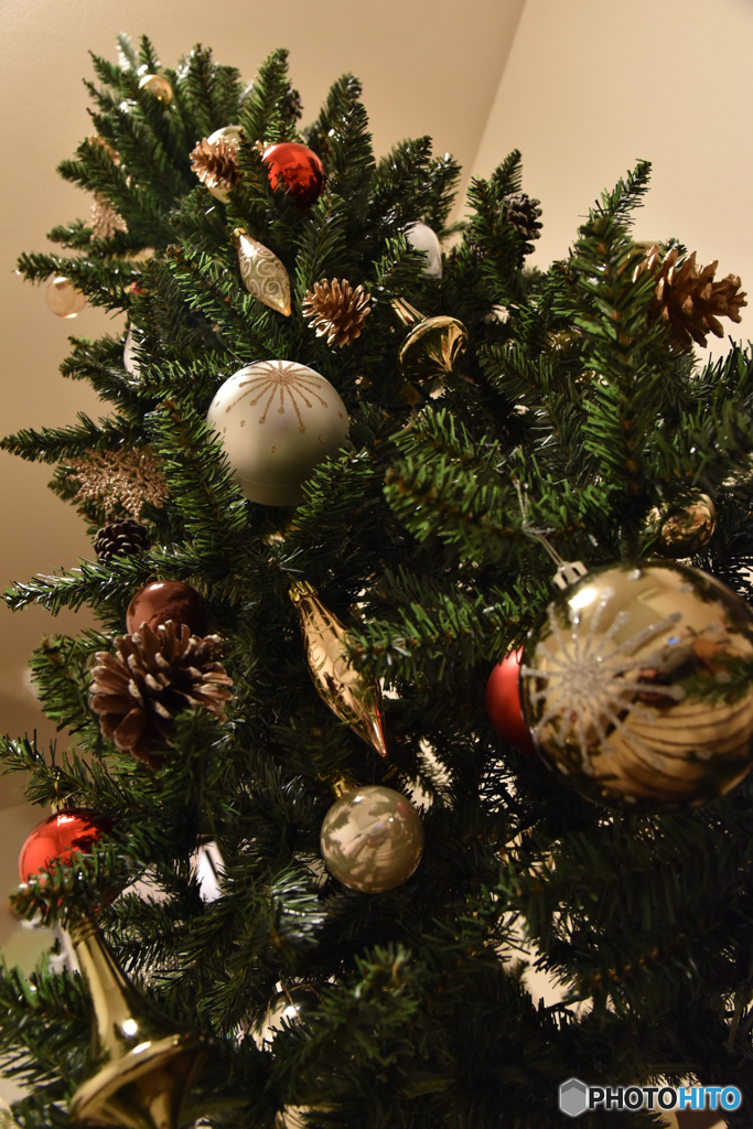 ツリーリニューアル