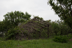 秘密基地