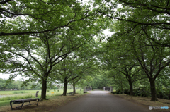 静かに時を刻む公園