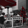 X'mas Red