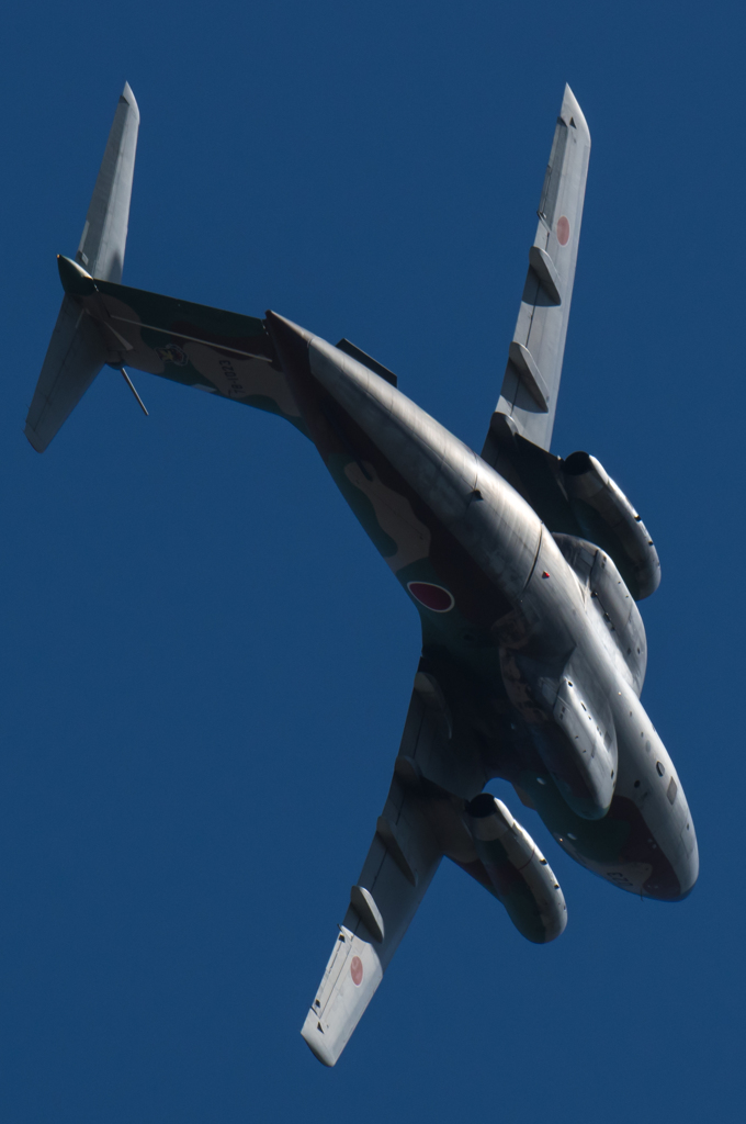 コンバットピッチ