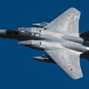 背中の模様