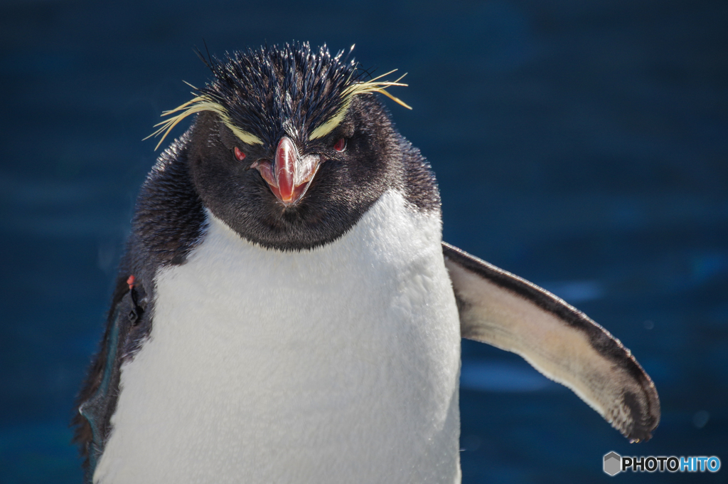 ちょっとそこ！