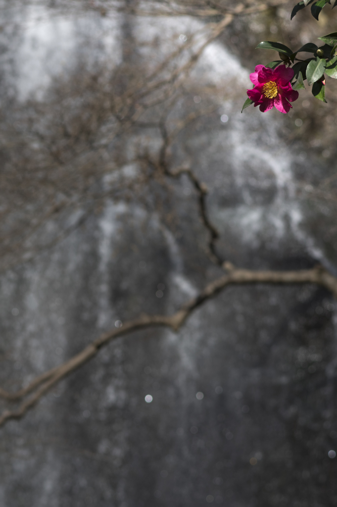 IMGP8715
