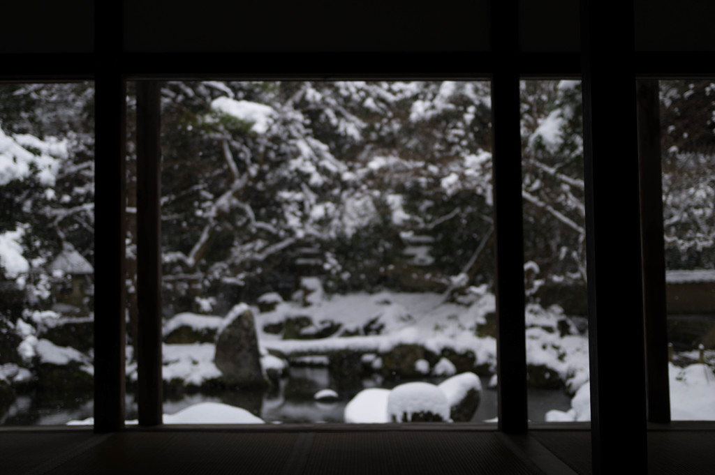 20170115-IMGP3393